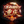 重庆QGhappy战队logo